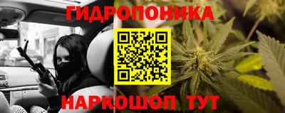 СК Заводоуковск